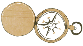 Illustrations by Sterre Verbokkem.       www.madebysterre.nl