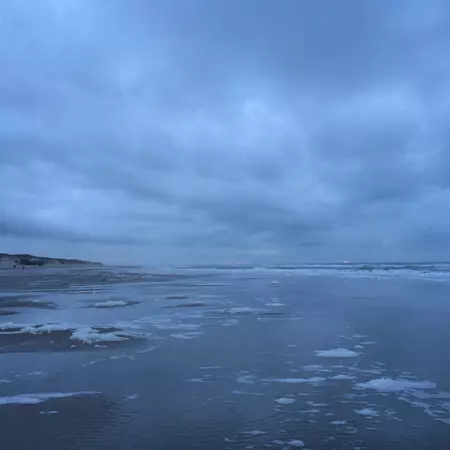 strand texel
