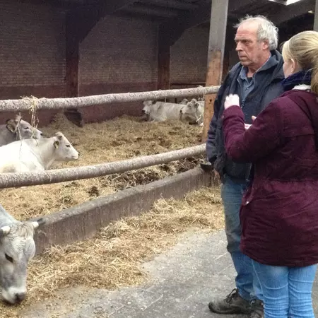 Meeting the meat on Texel