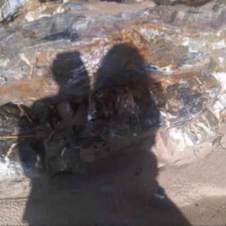 Introduction by Caroline Nevejan