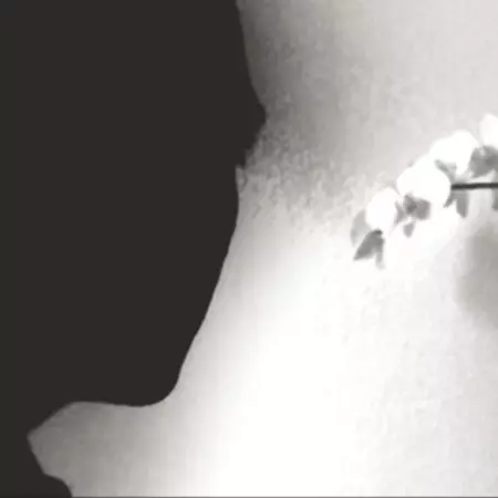 3. Relation: The witness signifies