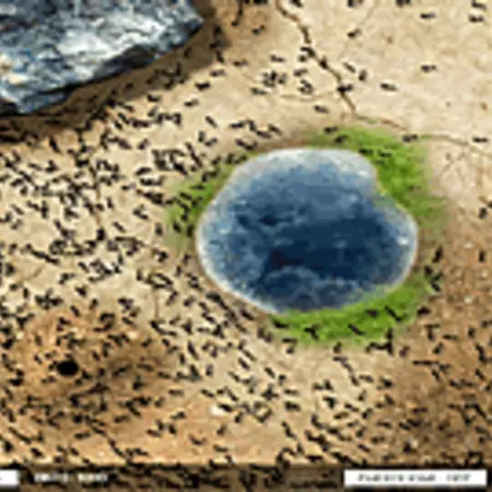 be inspired from the nature