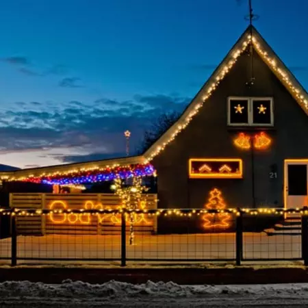 Sustainable Christmas – Christmas Tree