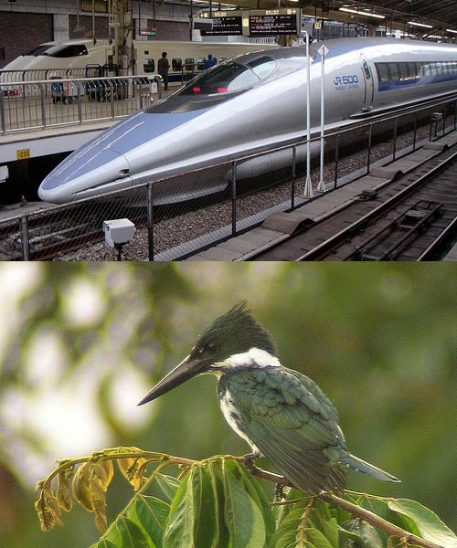 KINGFISHER-biomimicry