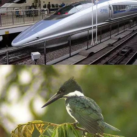 Can they go together “Presence Design and Biomimicry”