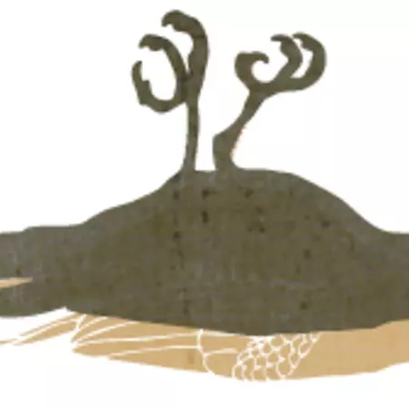 Knowledge without commitment to a subject will remain superficial.