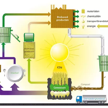 The transition towards a biobased economy
