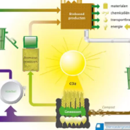 Biobased economy Biobased economy