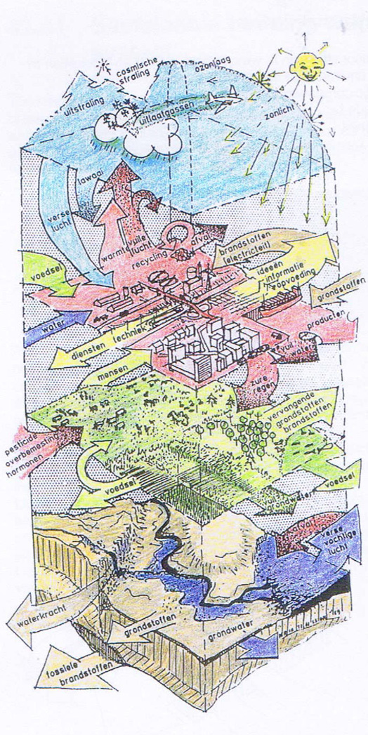 Kristinsson's environmental system.jpg