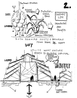 Bromelia based design