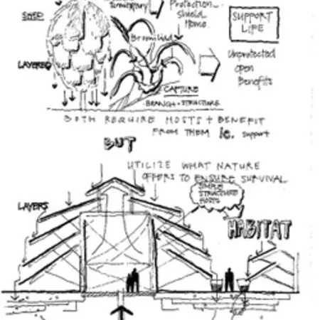 Bromelia and spider web inspired water collection system.