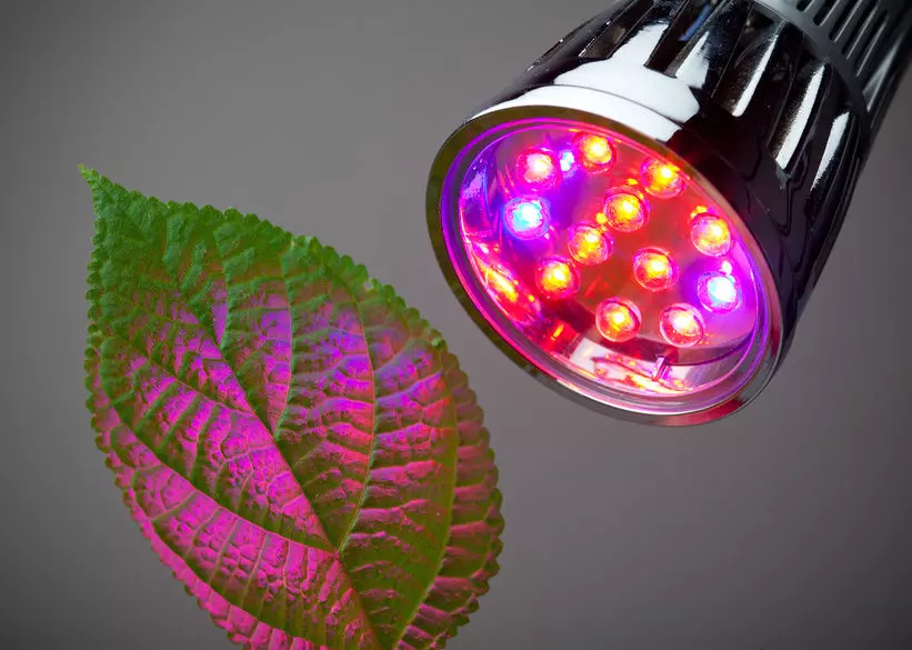 LED GROWLIGHT.JPG