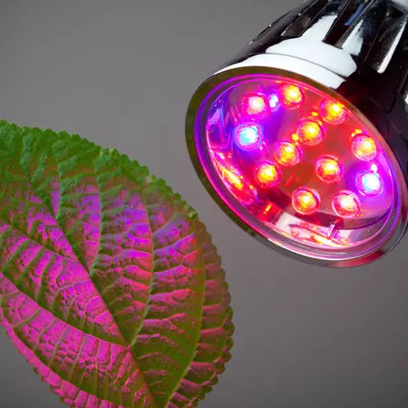 LED GROWLIGHT.JPG