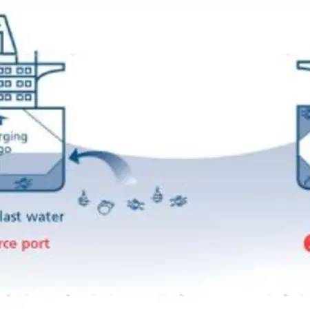 Fellow Global Ocean Travellers 