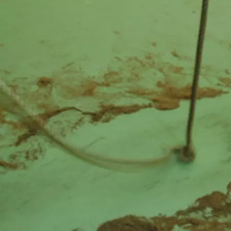 Traces of a wearing work create an image on the gallery floor.