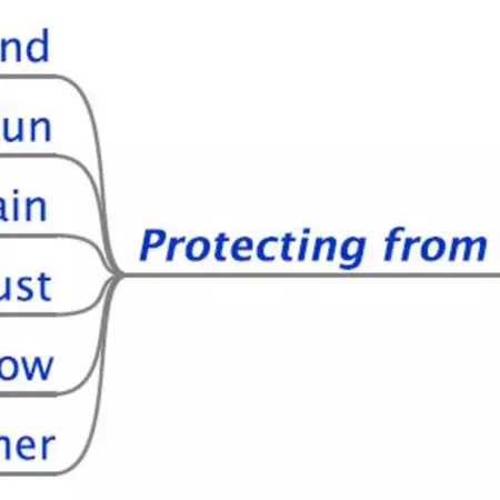 the discussed part of the tree