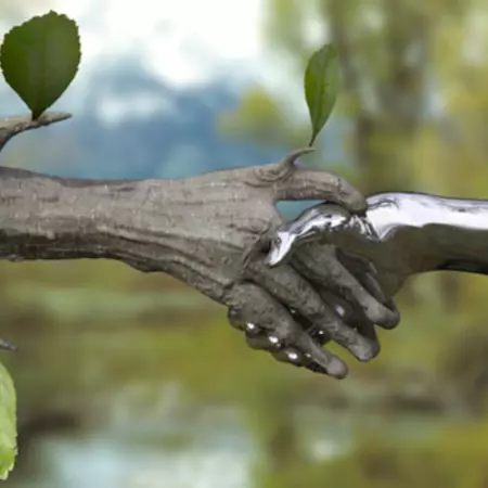 Functional analysis - Nature and Technology