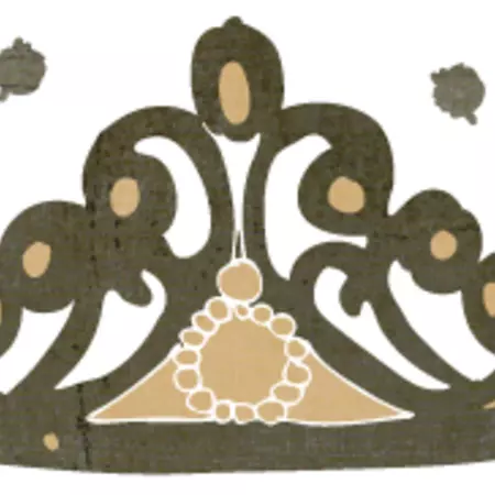 Nobody is an amateur