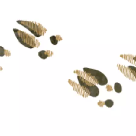 Patterns are deeply rooted in human beings.