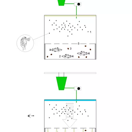Blue Shift [LOG. 1], 2005 (with Luc De Meester). Observation causes elimination.