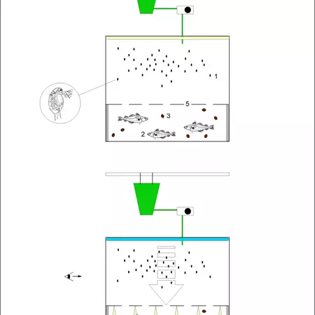 Blue Shift [LOG. 1], 2005 (with Prof. Luc De Meester).