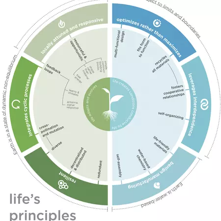 Foundations of biomimicry