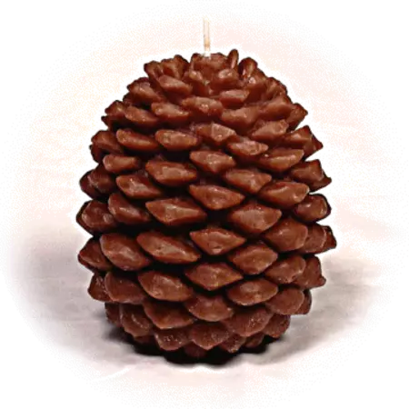 Smart insulation using pinecones