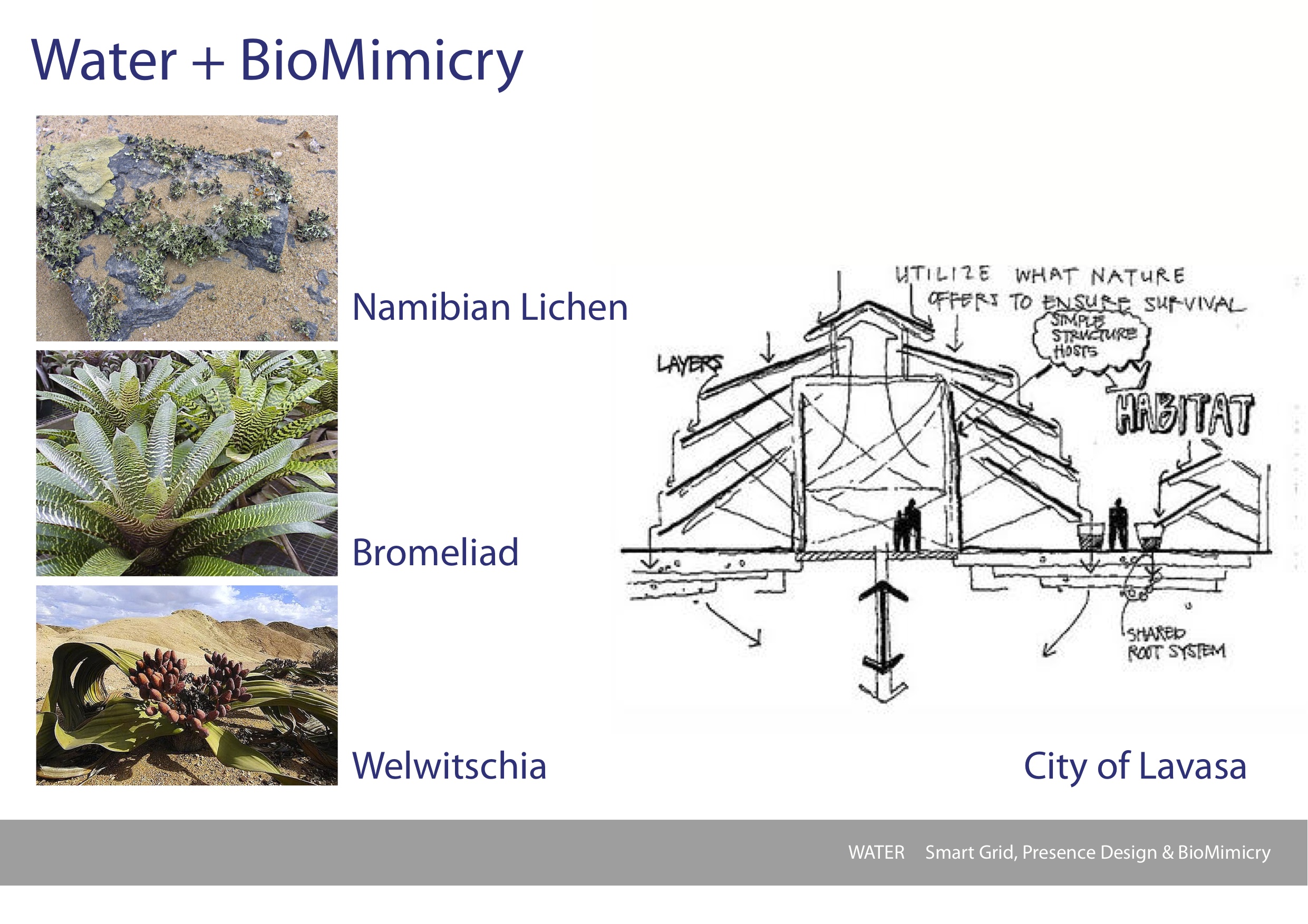 Biomimicry