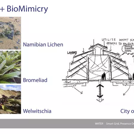 Presentation Working Progress