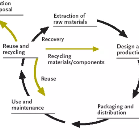 Carpet Tile’s Factory & Bio Mimicry Concepts