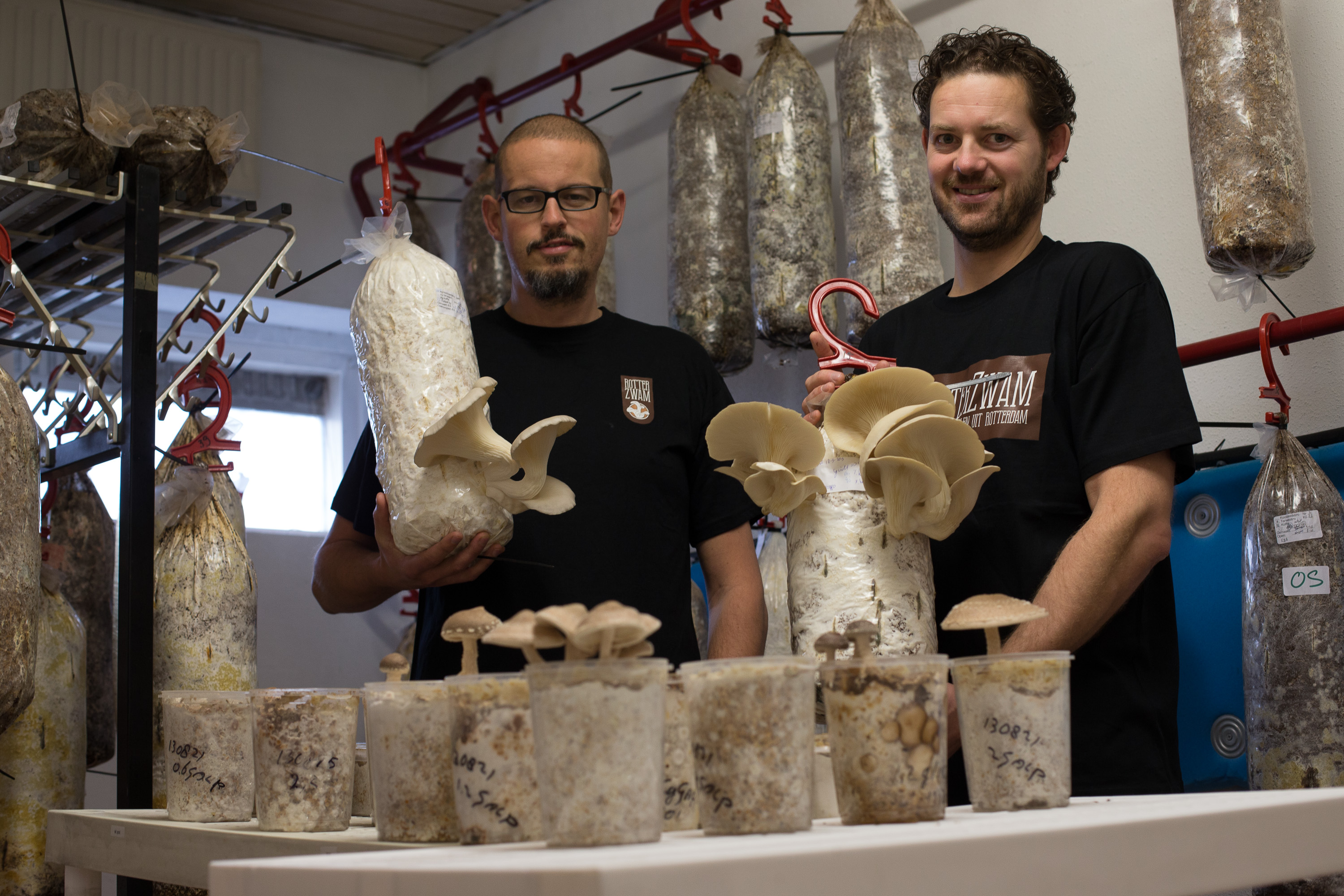 Blue economy example - Rotterzwam growing mushrooms on coffee waste