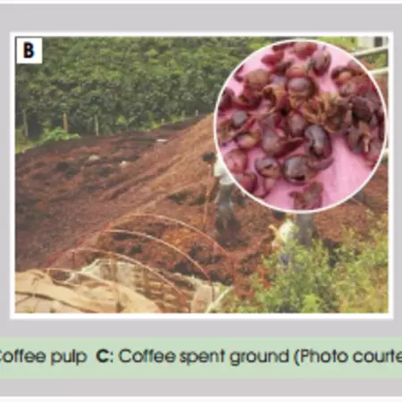 Schermafbeelding 2015-01-09 om 21.45.12.png