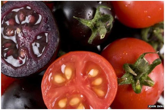 Schermafbeelding 2015-01-09 om 22.27.39.png