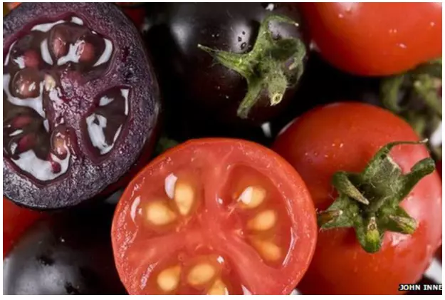 Schermafbeelding 2015-01-09 om 22.27.39.png