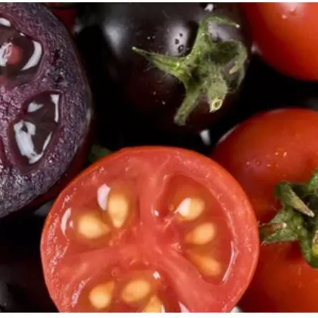 Let’s genetically modify our food!