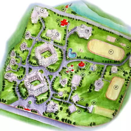 Spatial organization