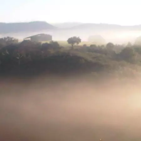 Caroline's working space