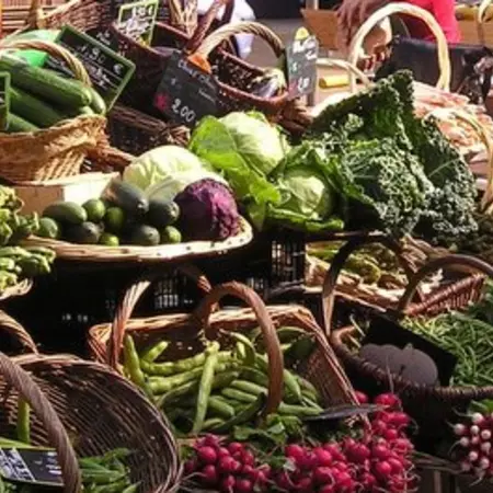 Agriculture: food and more