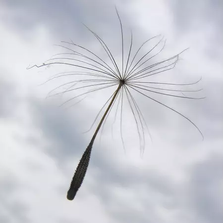 Move in a efficient way