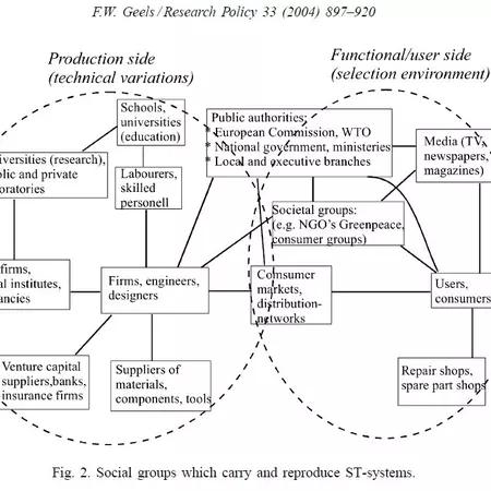 Social groups of ST systems.jpg