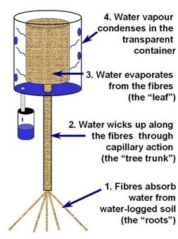 solar water plant model 1