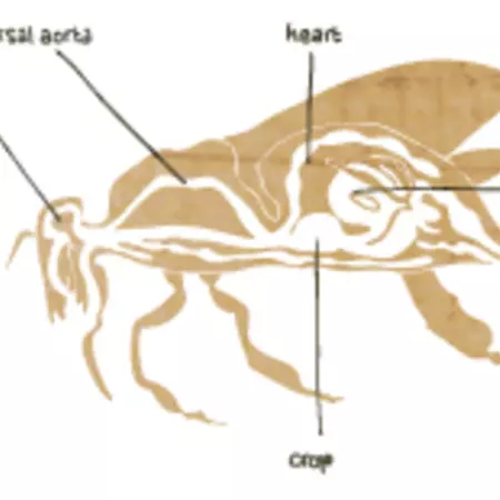 Speed accomplishes a lot.