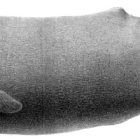 Day 2 (Tuesday 19, March 2013)