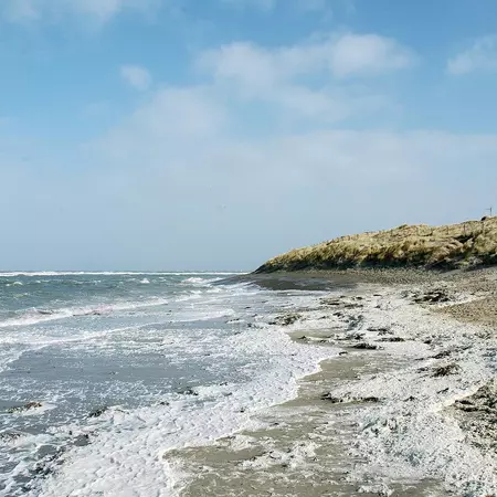 2.2 Actors, technologies and interests