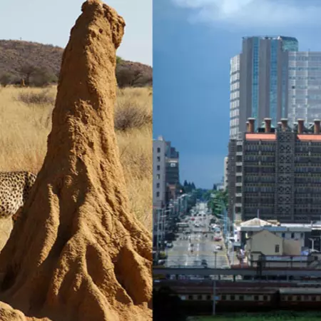 Termite Air conditioning