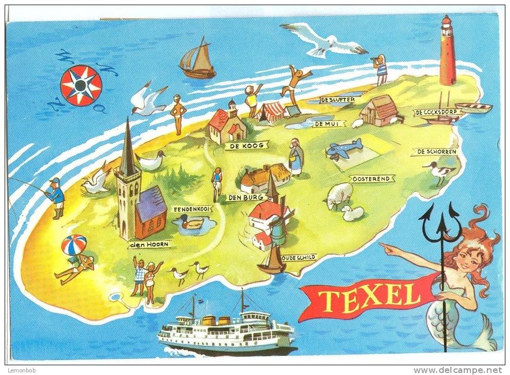 texel.jpg