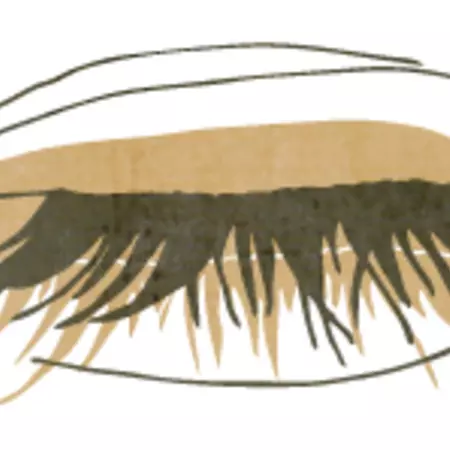 There are big differences among musical genres, bands, venues, and artists.