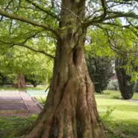 Day 4: Of Botanical Gardens and Beautiful Presentations