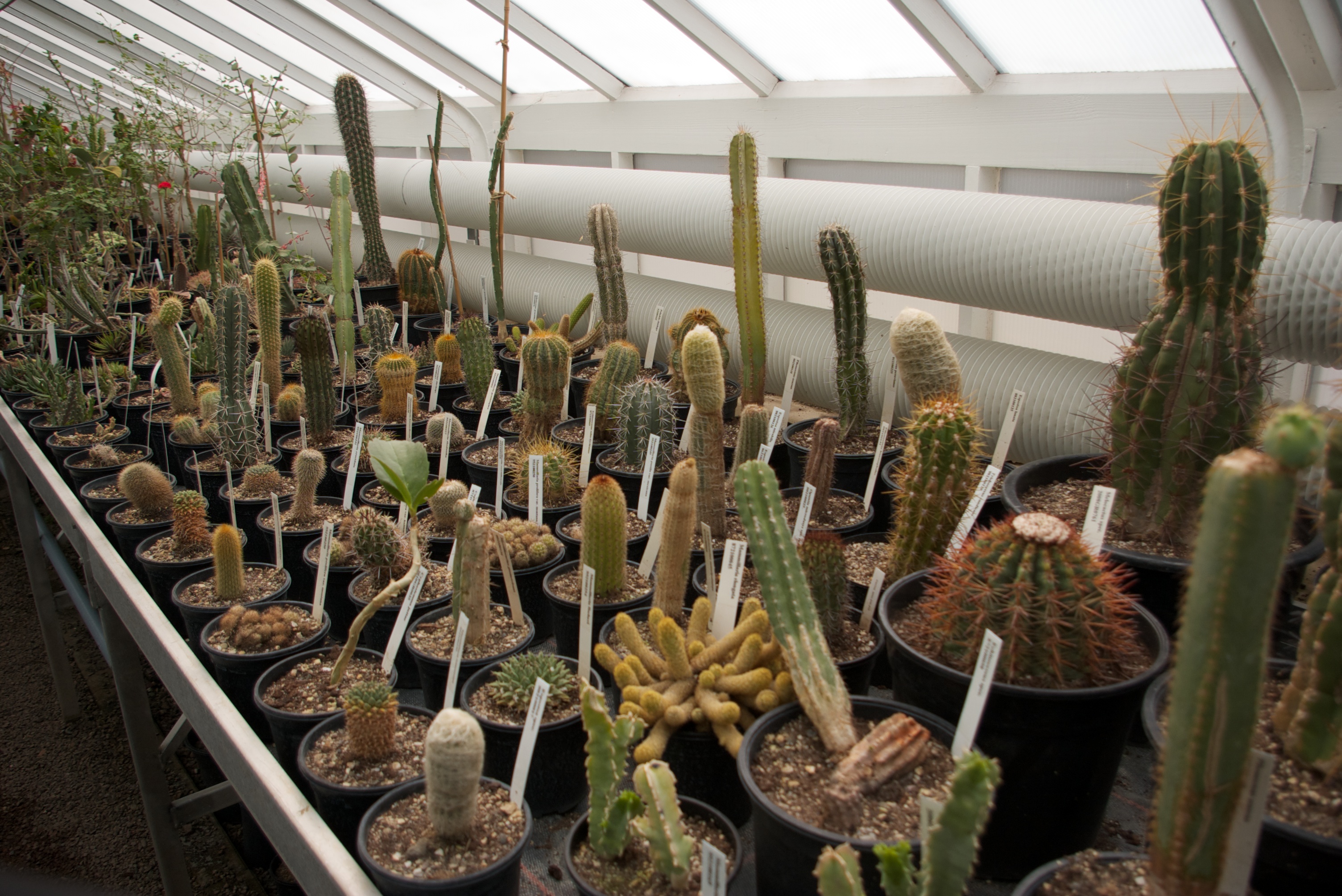 TU_Delft_Botanical_Gardens