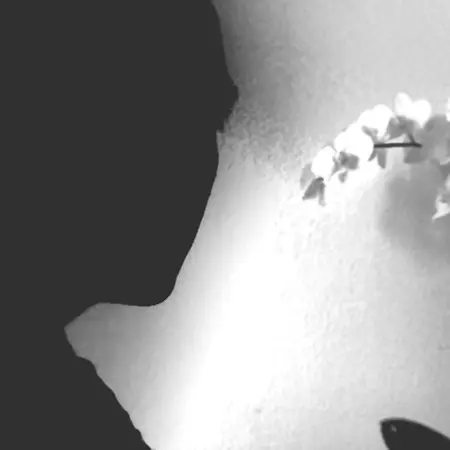 Questionaire about strangers